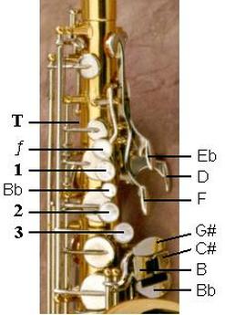 Notes and Keys - The Terrific Tenor Saxophone